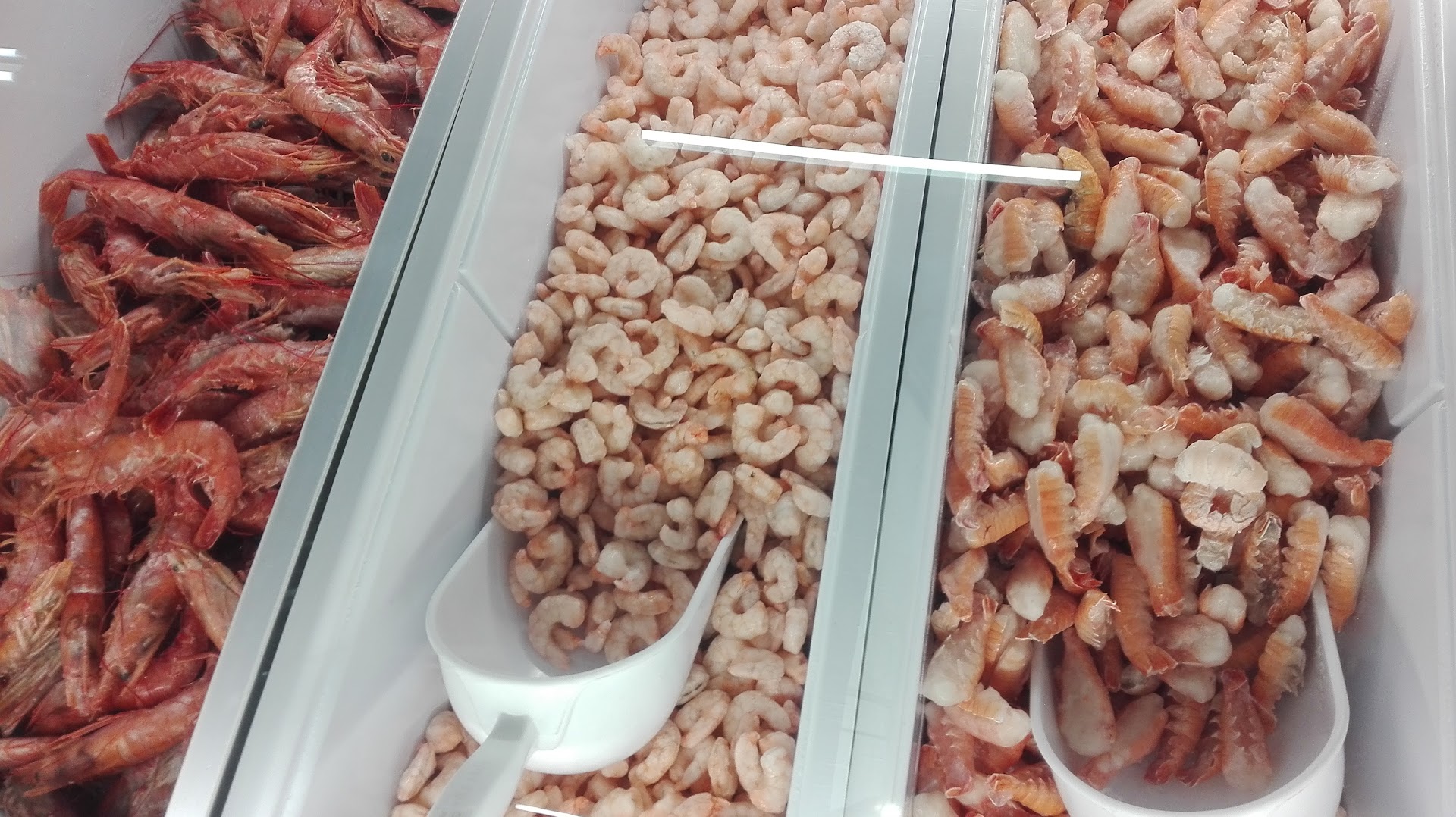 D'AMAR Fish&More surgelati
