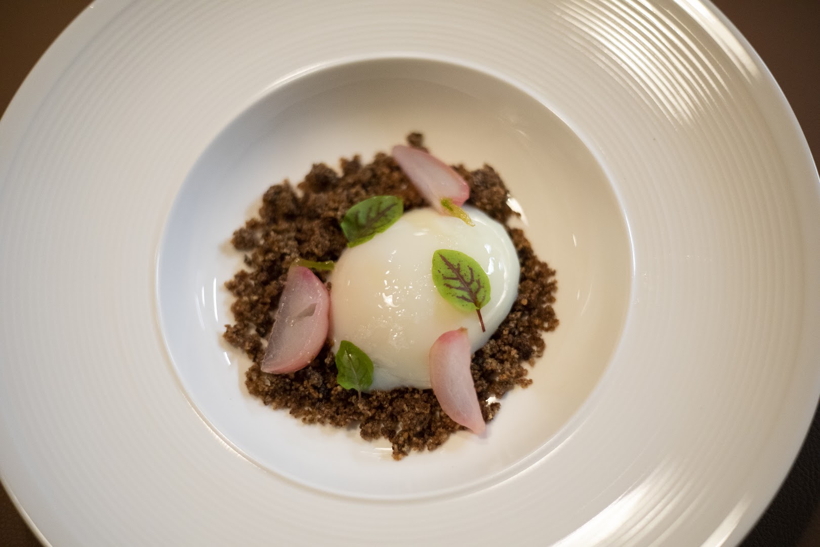 Dansi Rinascimento Culinario
