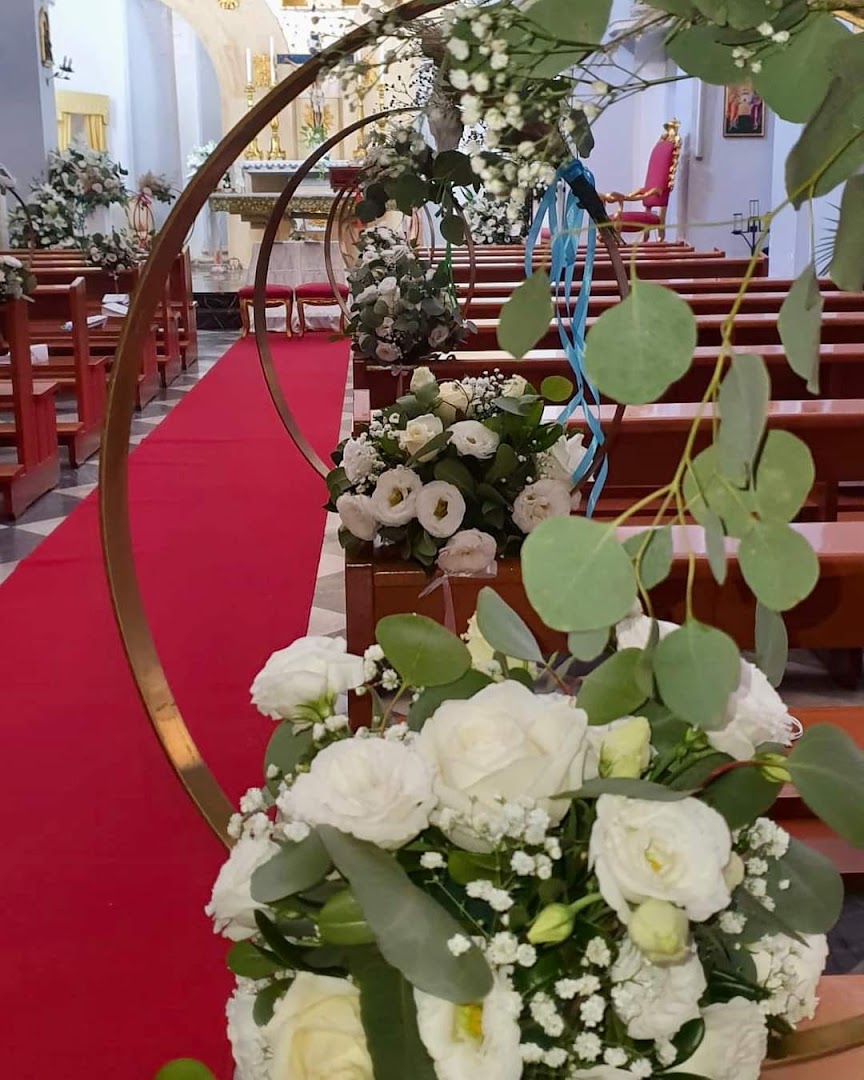 D'Antona fiori di Luigi D'Antona
