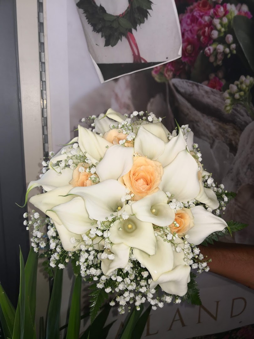 D'Antona fiori di Luigi D'Antona