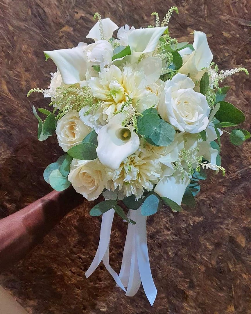 D'Antona fiori di Luigi D'Antona