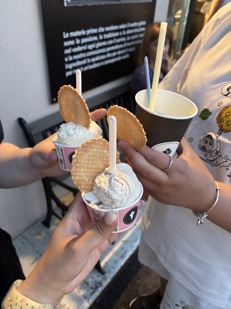 Dassie Gelato - Istrana, Istrana