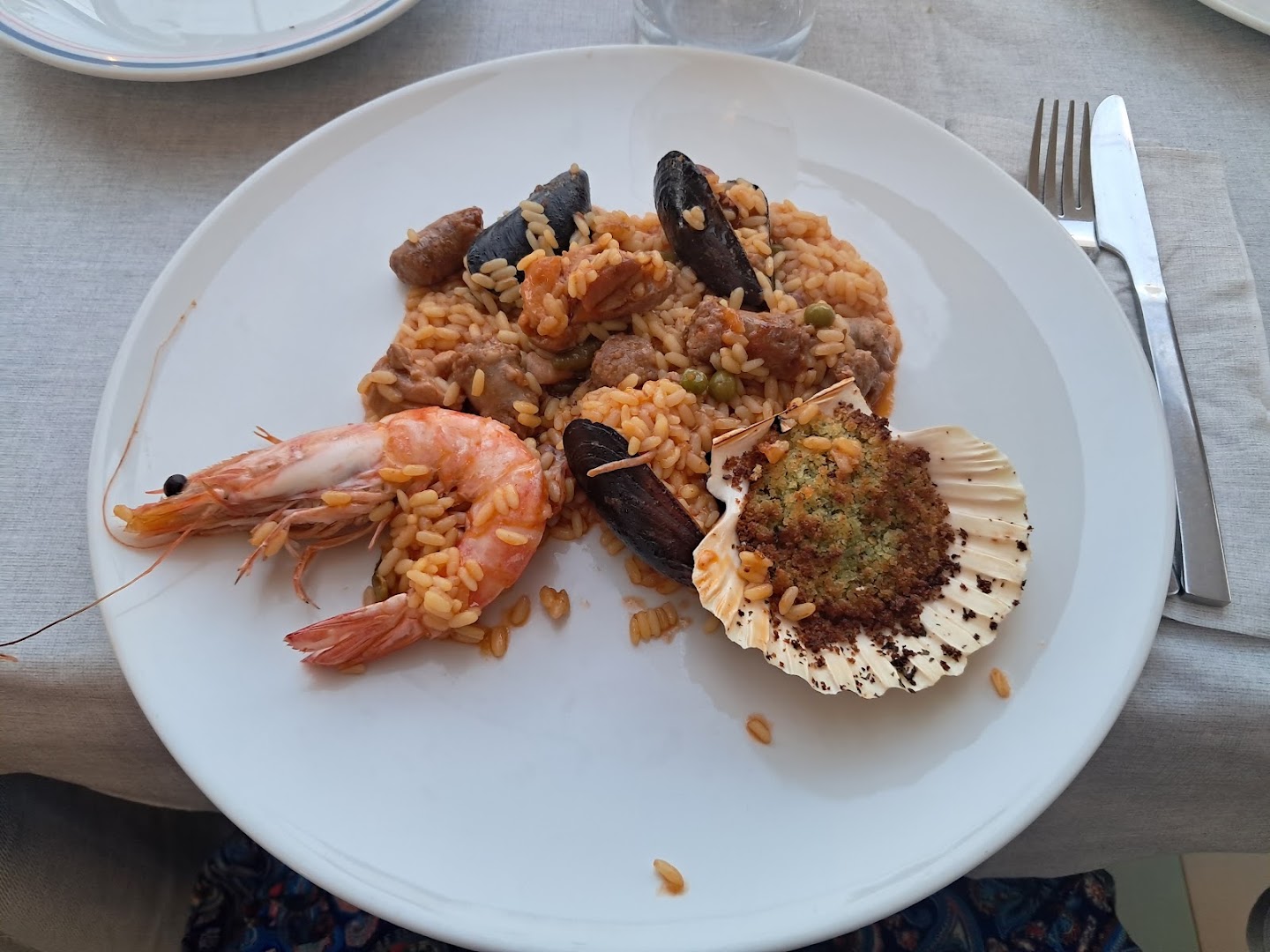 Daubaci