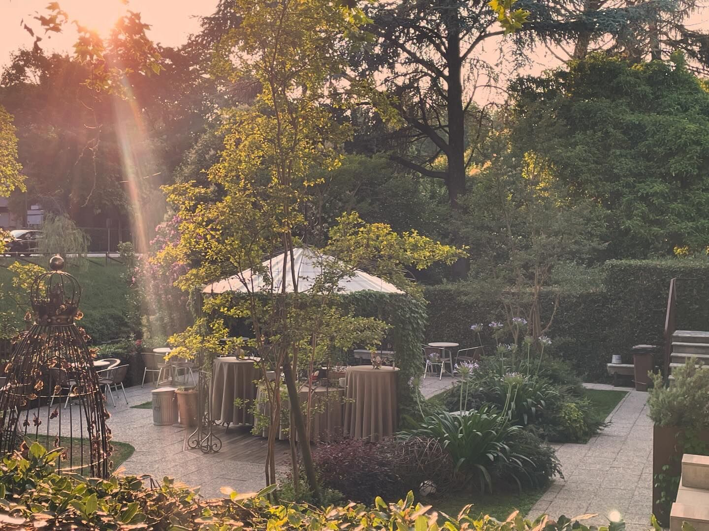 Dazio Garden Bar