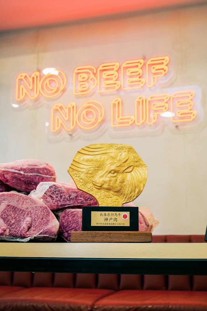 DE CILLIS 1997 & STEFBURGER