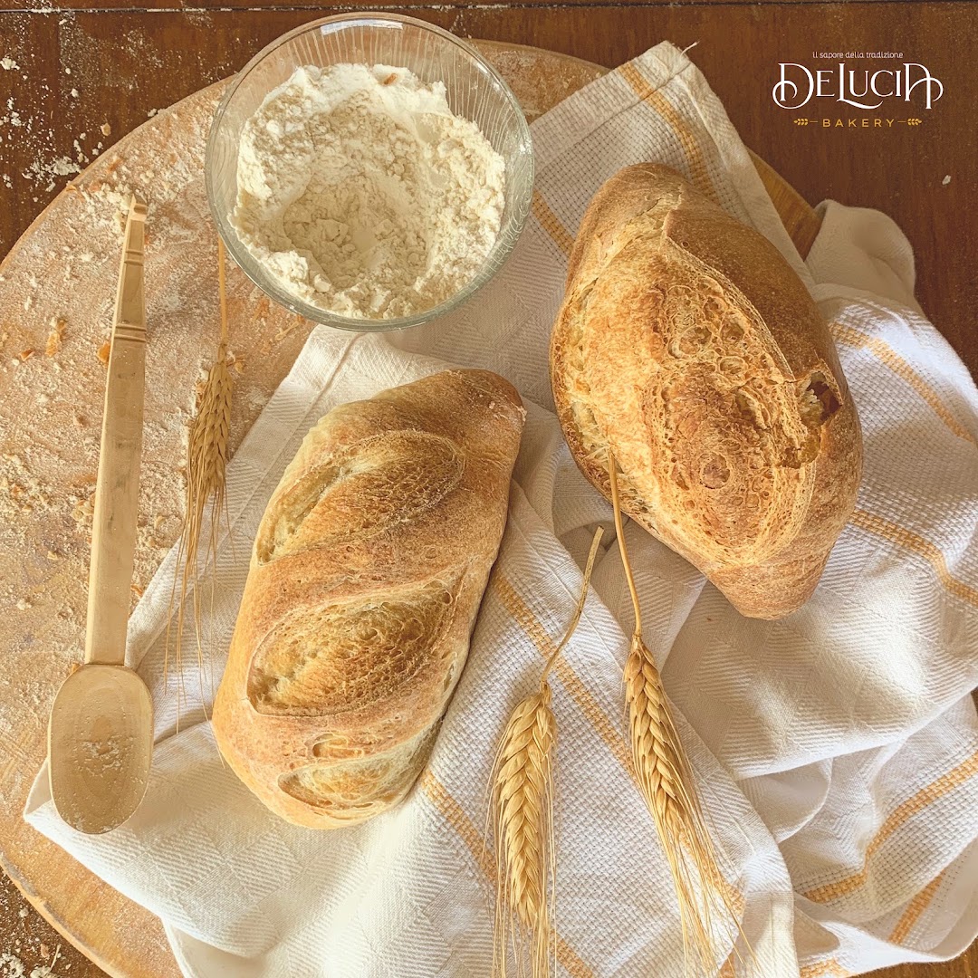 De Lucia Bakery