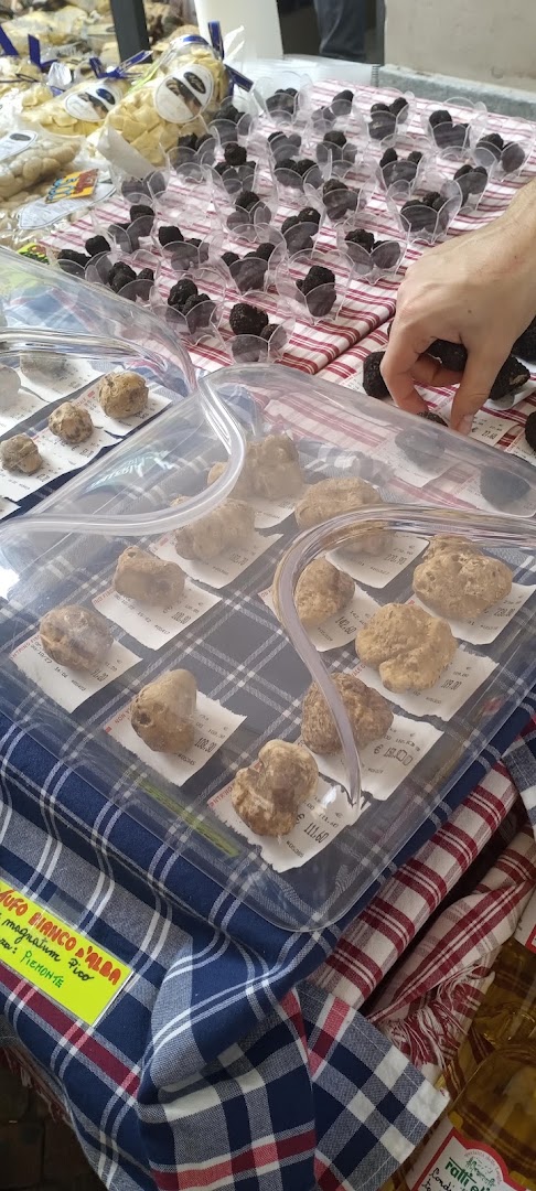 Del Tartufo Bianco d'Alba