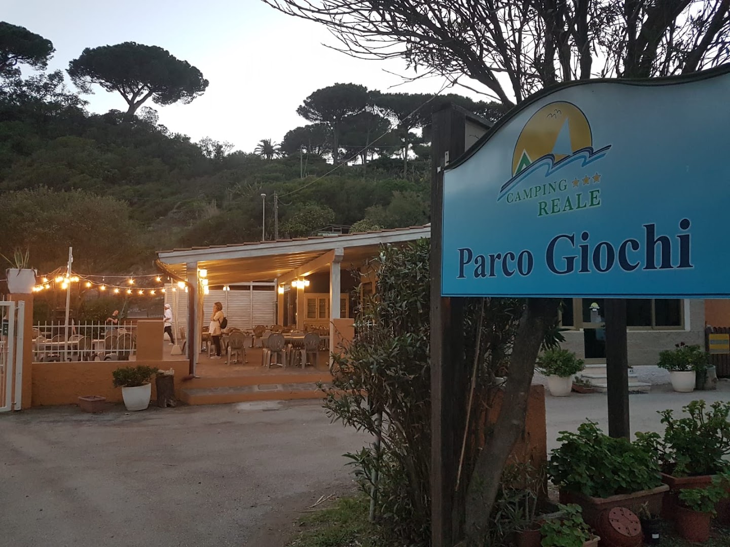 Delle Meraviglie