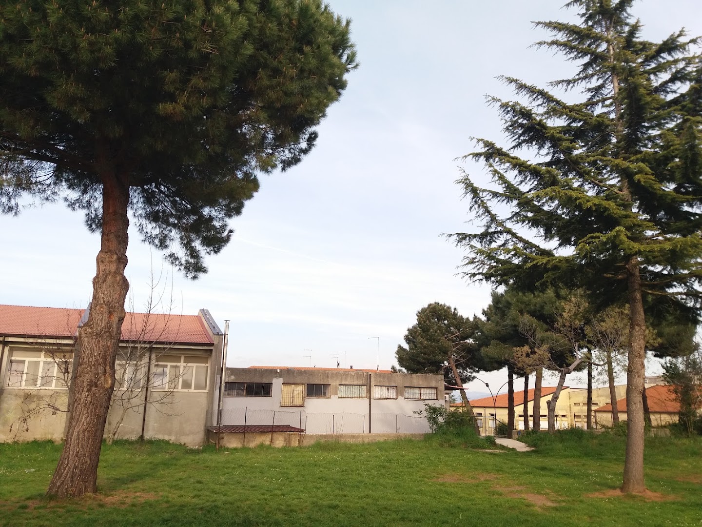 DeLuca Filippo