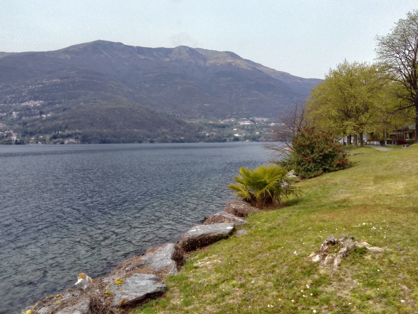 Dervio Lc Italia