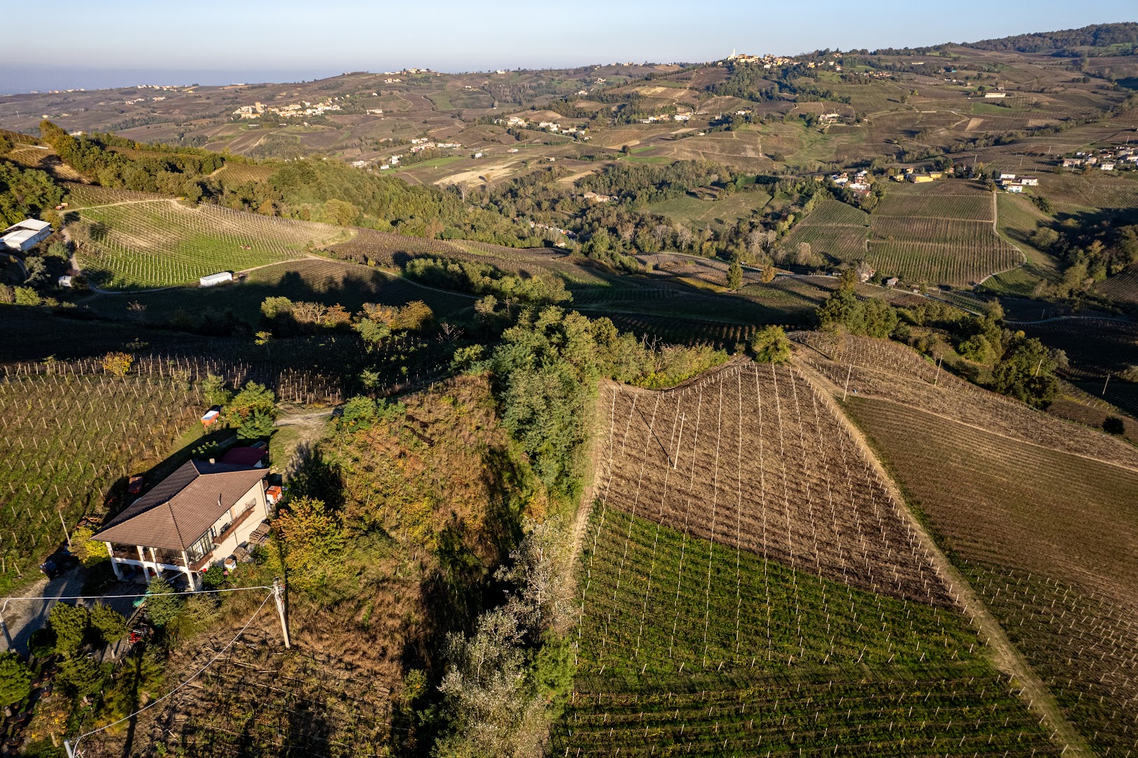 Dezza 1890 - Produttori di vino in Oltrepò Pavese