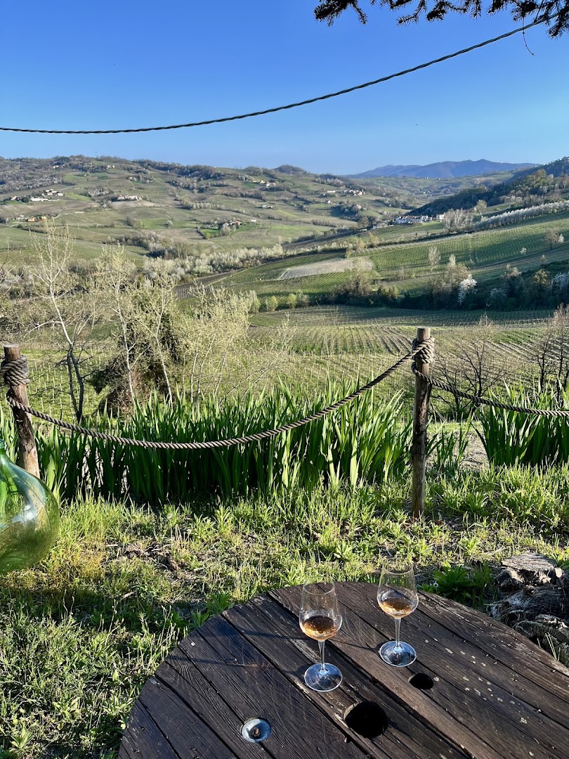 Dezza 1890 - Produttori di vino in Oltrepò Pavese
