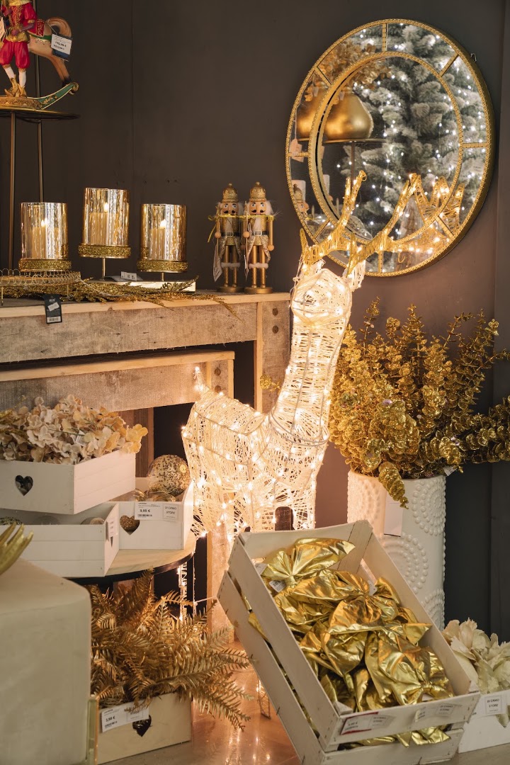 Di Canio Store, Andria