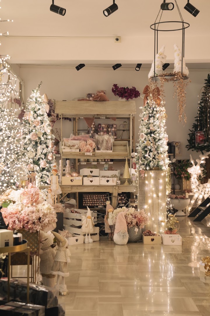 Di Canio Store