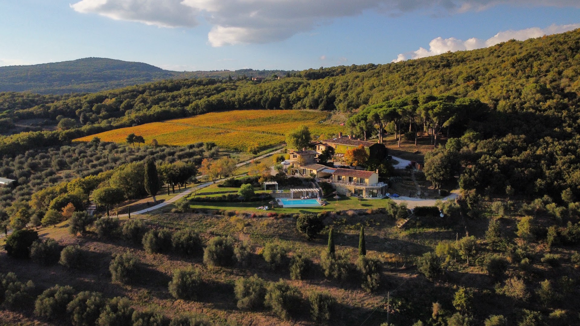 Di Colle in Colle - Bistrot