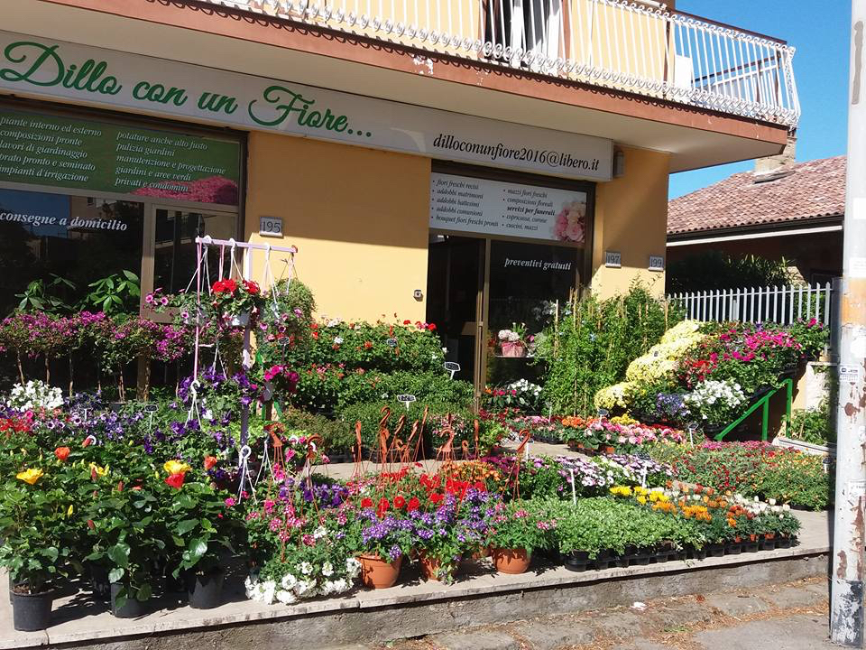 Dillo con un Fiore..., Roma