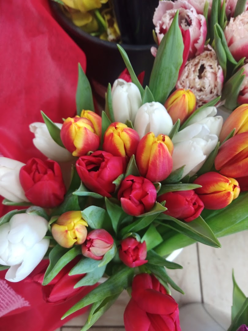 Dillo con un Fiore...