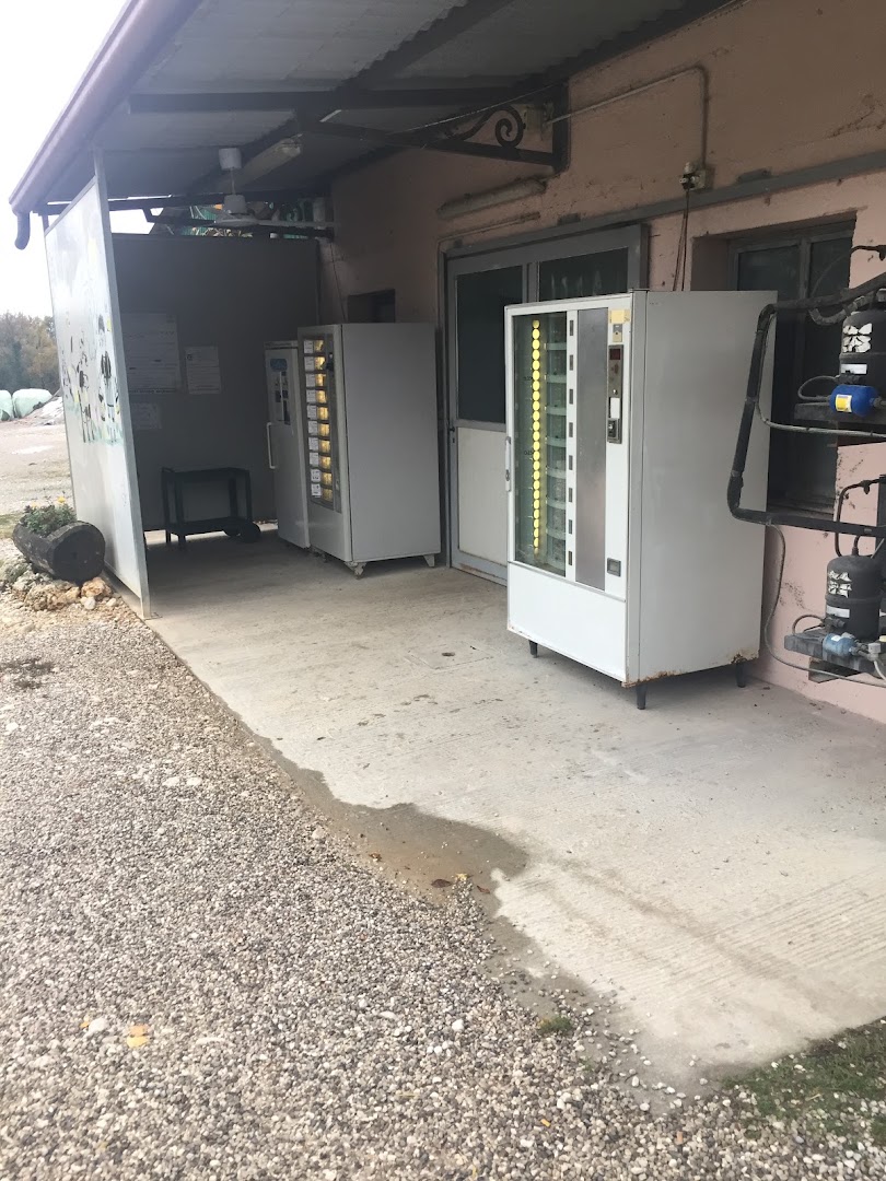 Distributore Latte Fresco e Formaggi - Azienda Agricola Andreazza Massimo e De Re Salima Soc. Semplice Agricola