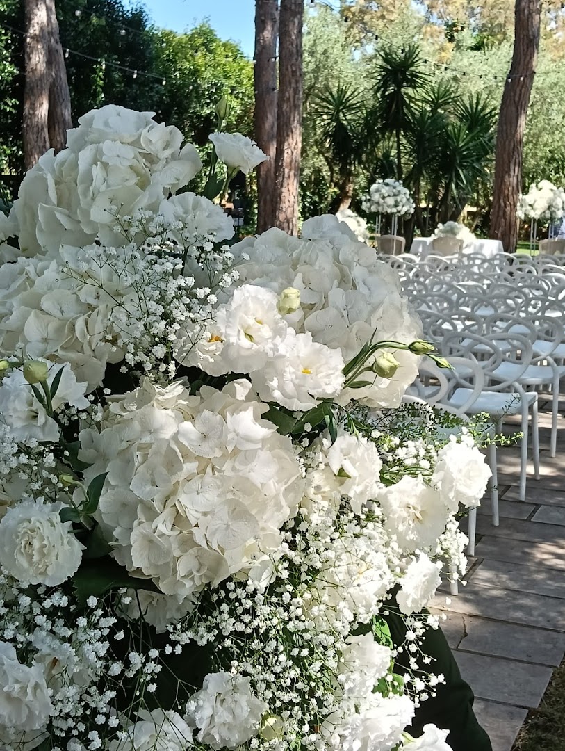 Ditelo con i fiori, Mottola