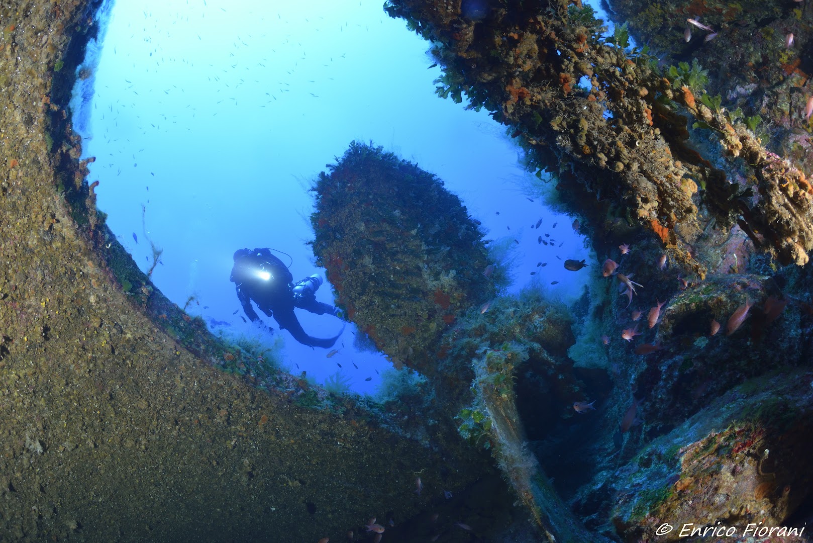 Diving World Ventotene