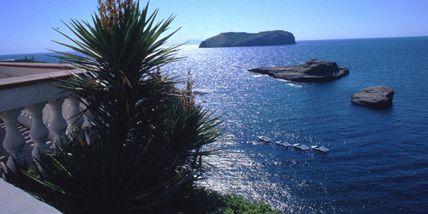 Diving World Ventotene