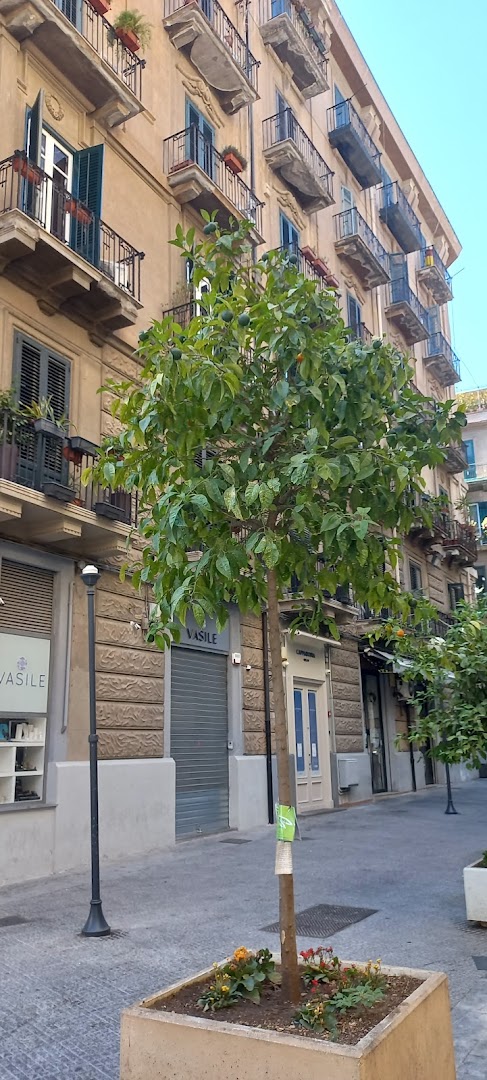 Dodò Gastronomia Popolare, Palermo