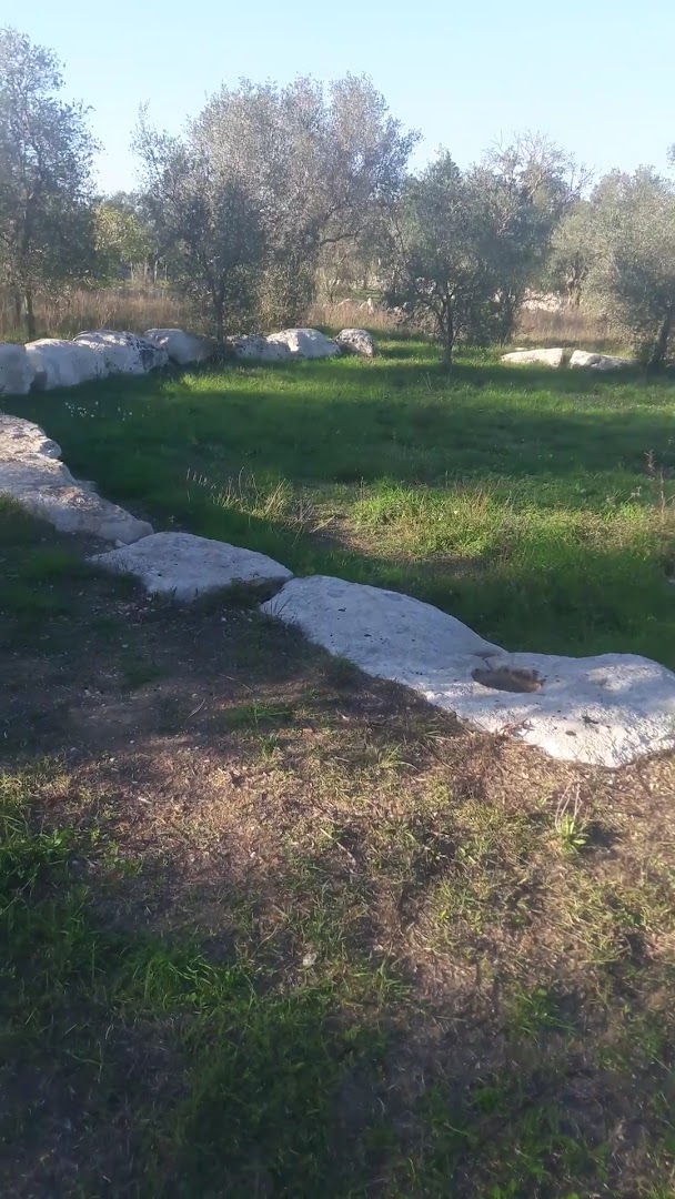 Dolmen Li Scusi