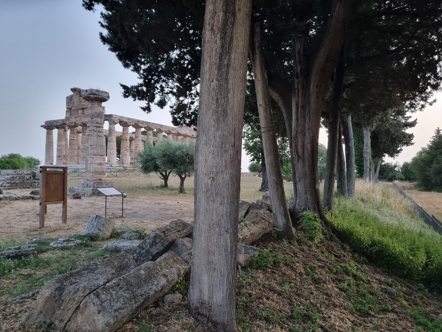 Domus Clelia