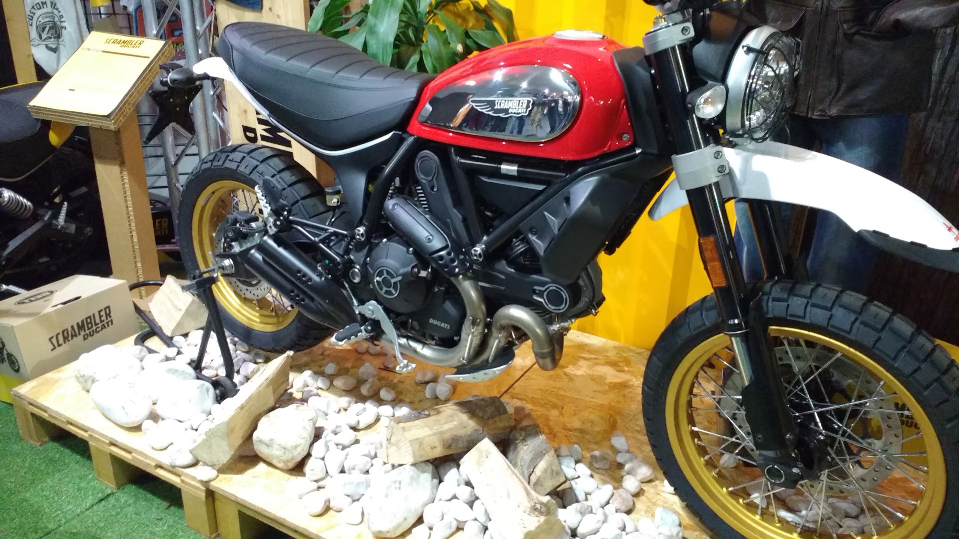 Ducati Firenze