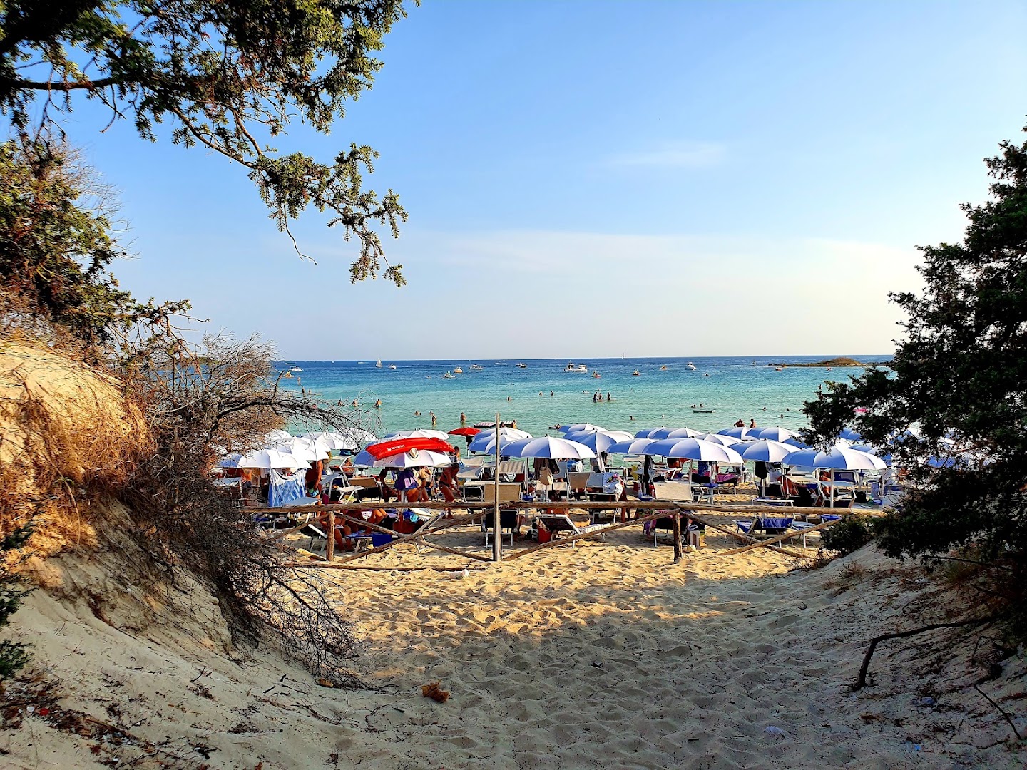 Dune Ritual Beach