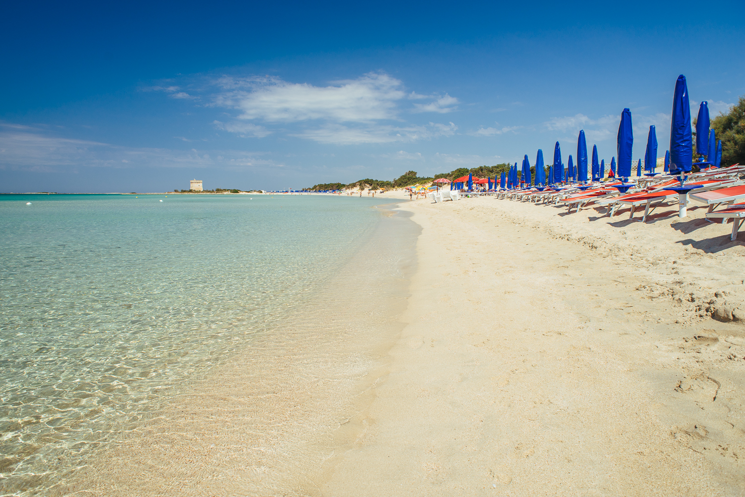 Dune Ritual Beach