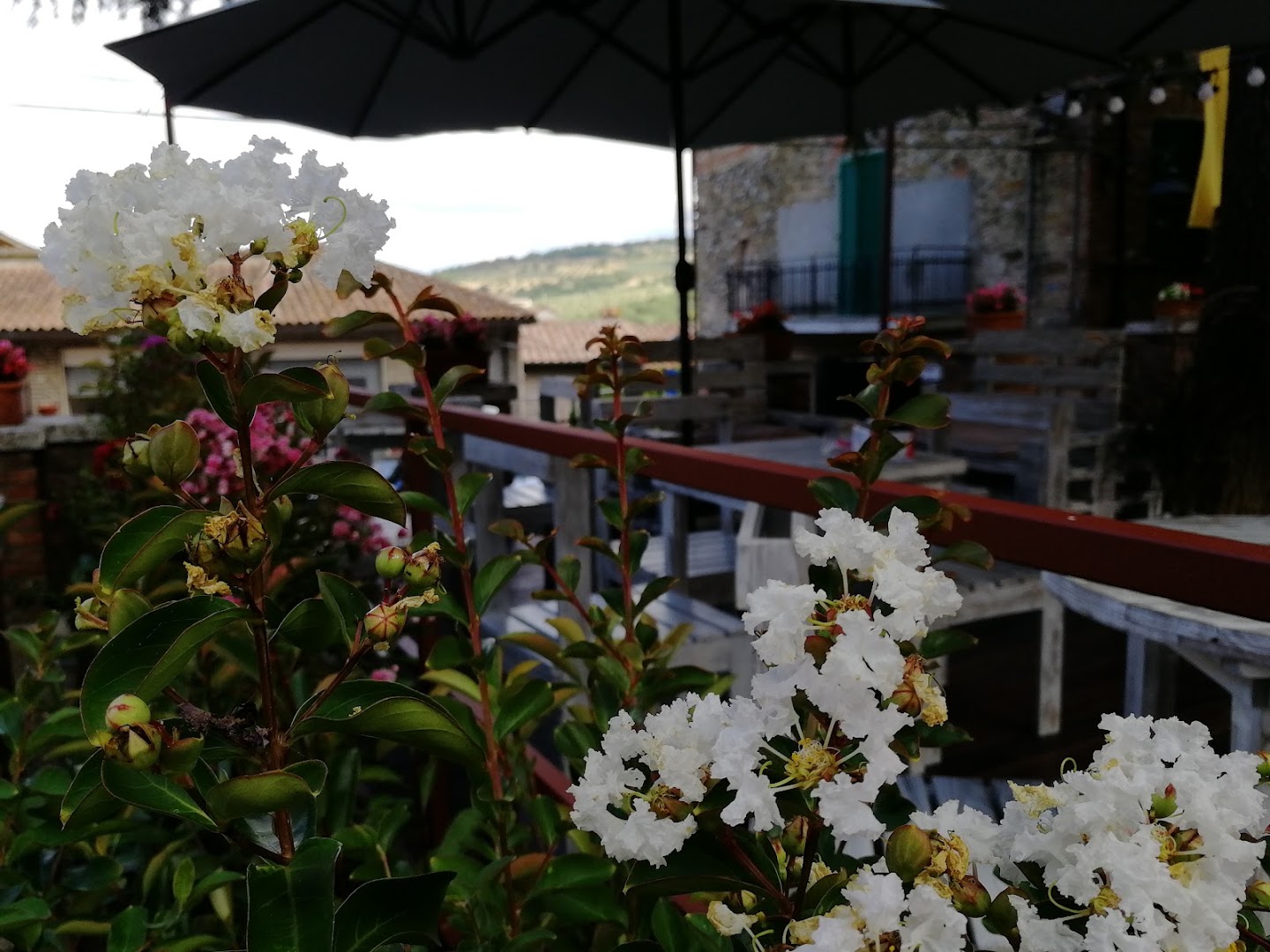 Echoes café, Piegaro