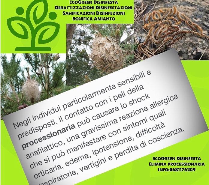 EcoGreen Disinfesta: disinfezione e sanificazioni virus, germi e batteri. Derattizzazione e disinfestazioni blatte e zanzare, Aprilia