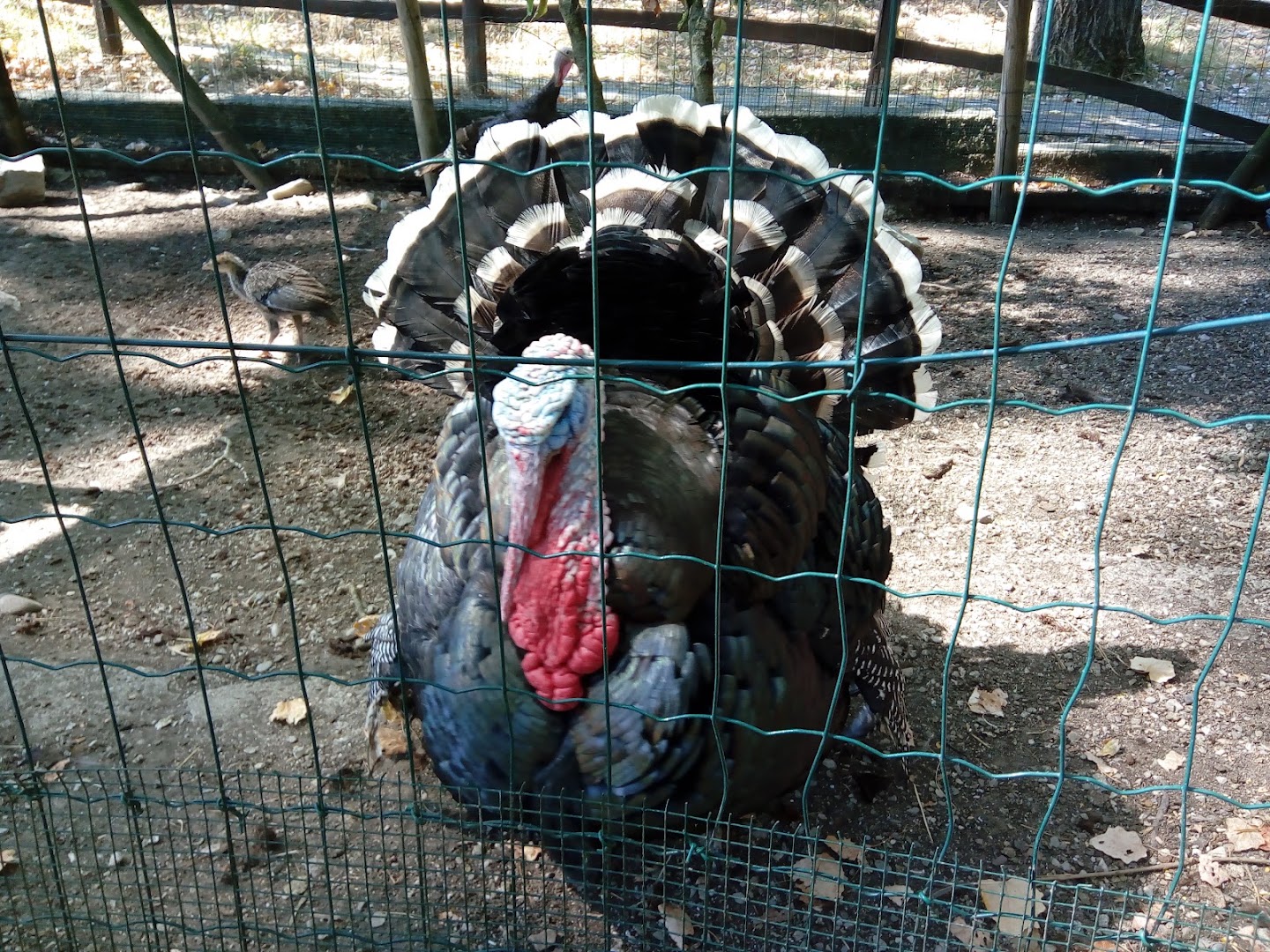 Ecoparco di Vezzano, RE