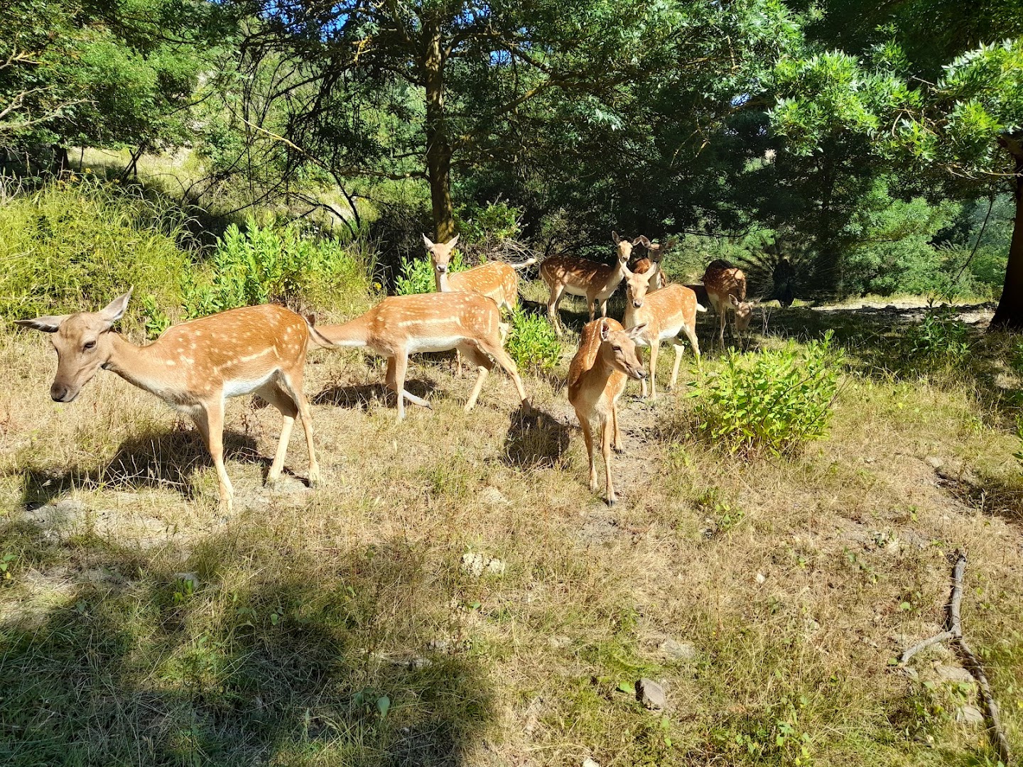 Ecoparco di Vezzano