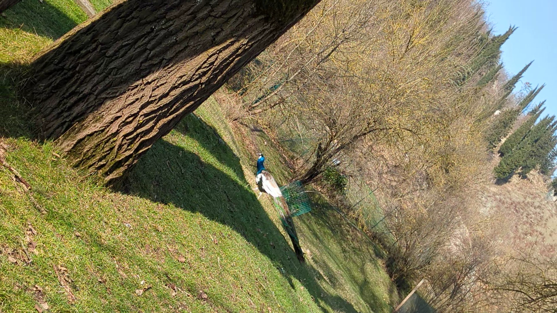 Ecoparco di Vezzano