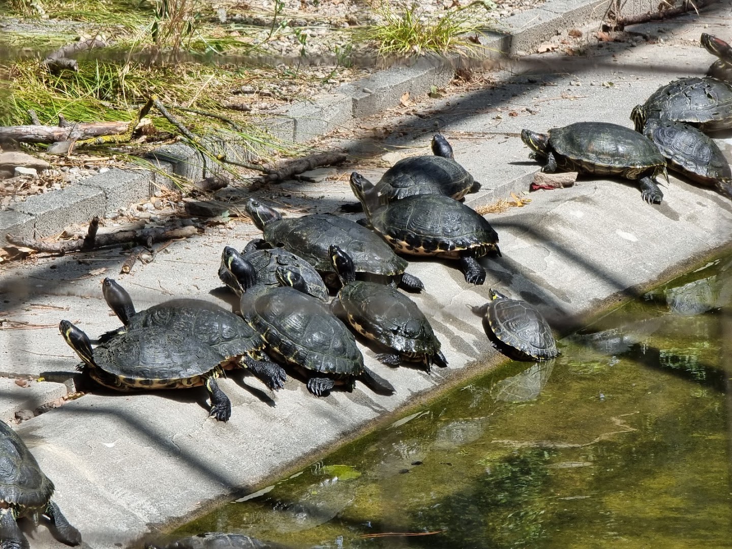 Ecoparco di Vezzano