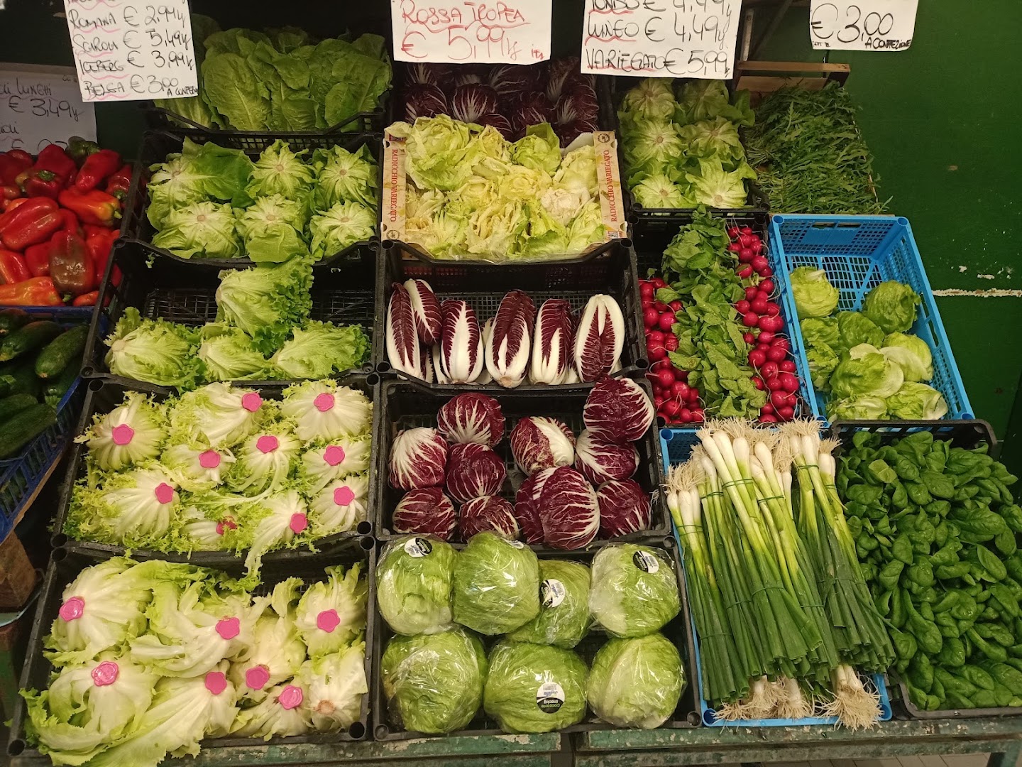 Eden Frutta