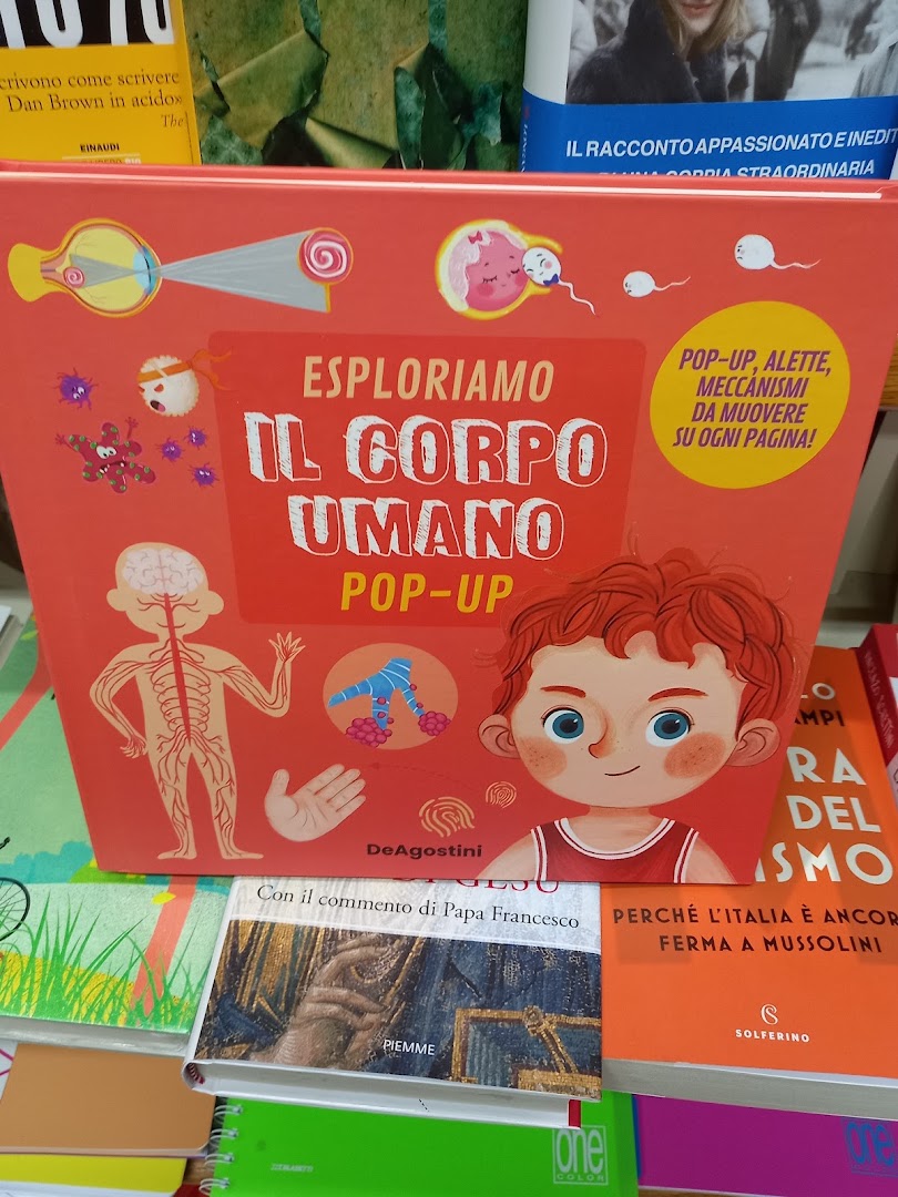 edicola libreria L'Italiano di Cappadona Ignazitto Alfredo & C. s.a.s