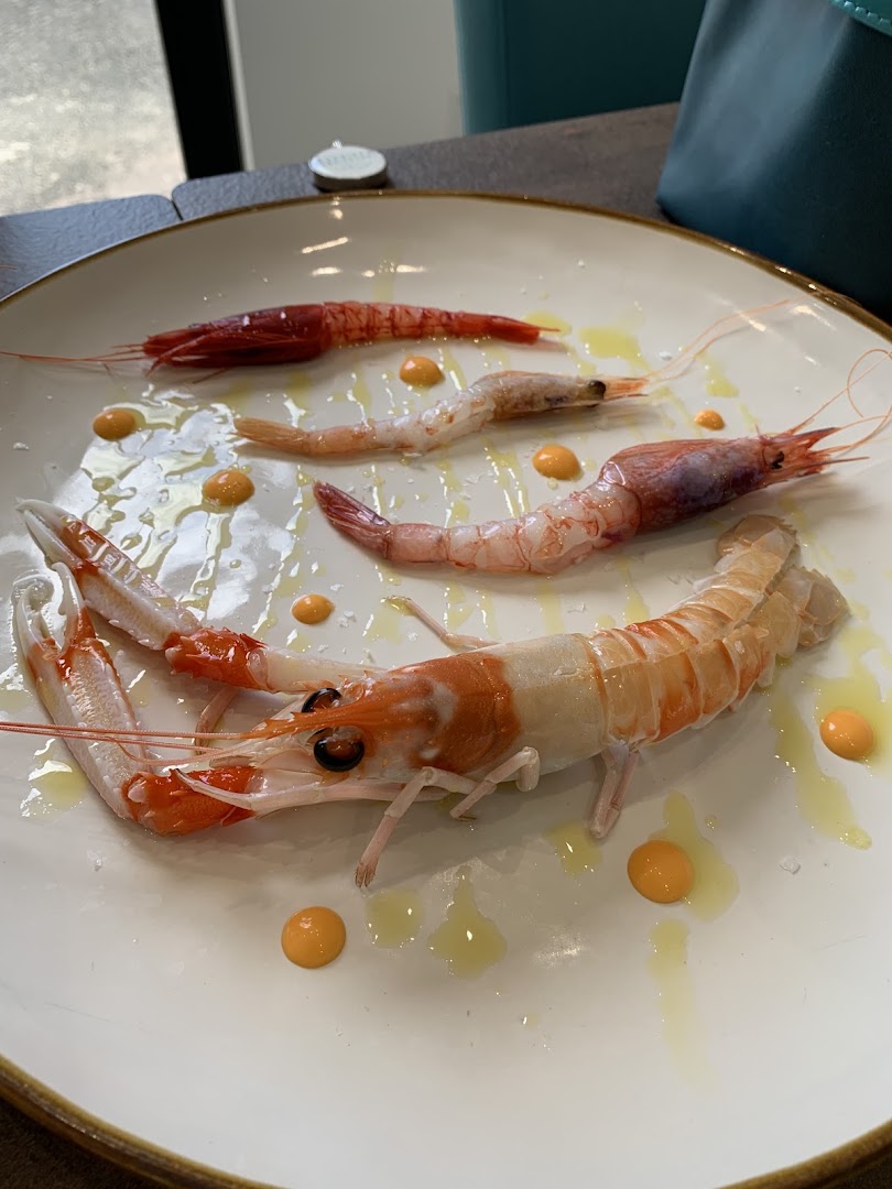 Educazione Marinara, Fiumicino