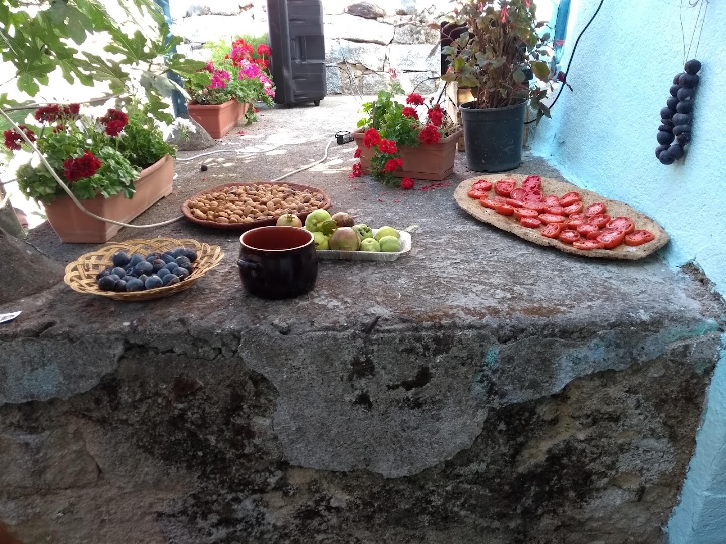 El Chikita Cafè