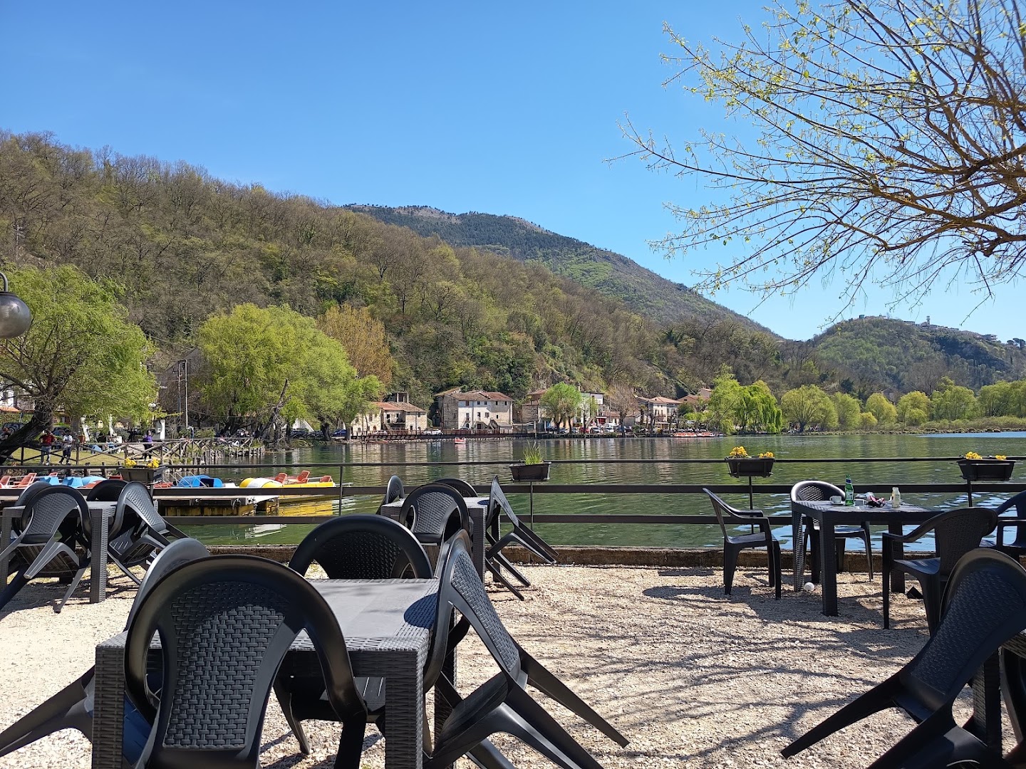 Elfo del Lago