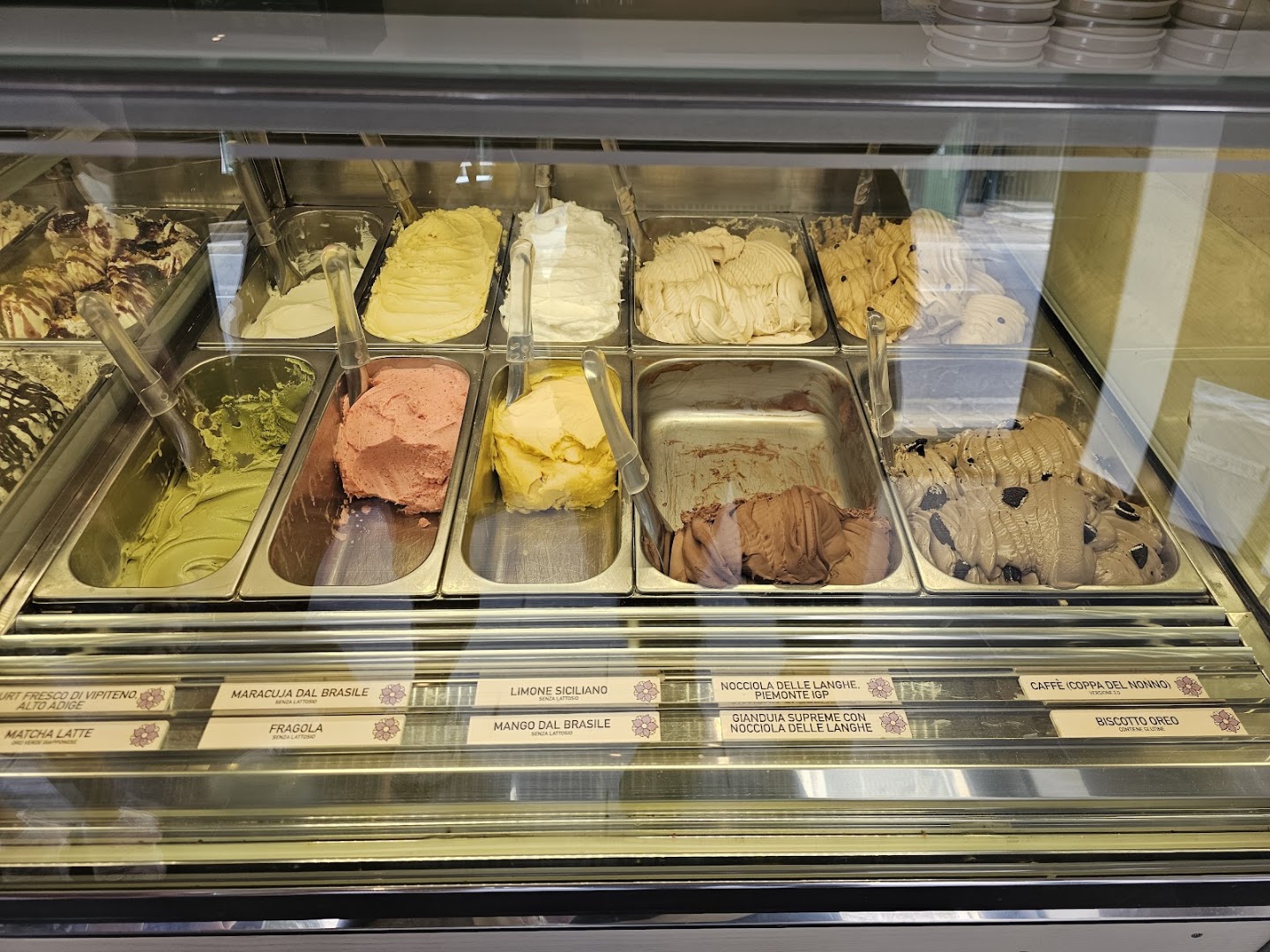 Elleboro Fior Di Gelato, Monza