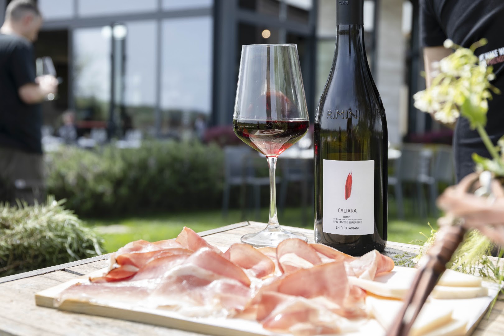 Enio Ottaviani vini e vigneti, San Clemente