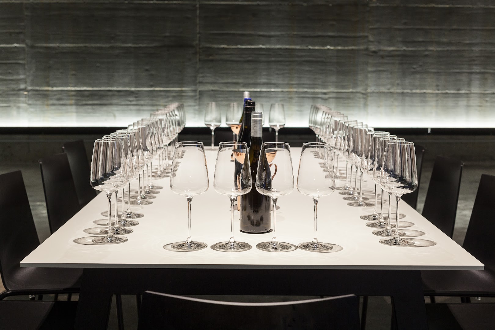 Enio Ottaviani vini e vigneti