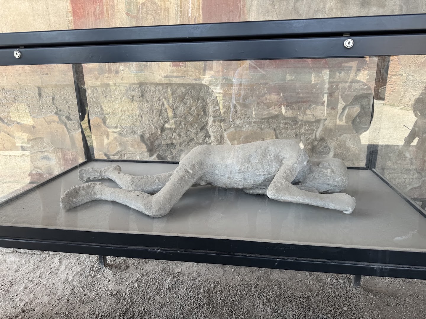 Enjoy Pompeii