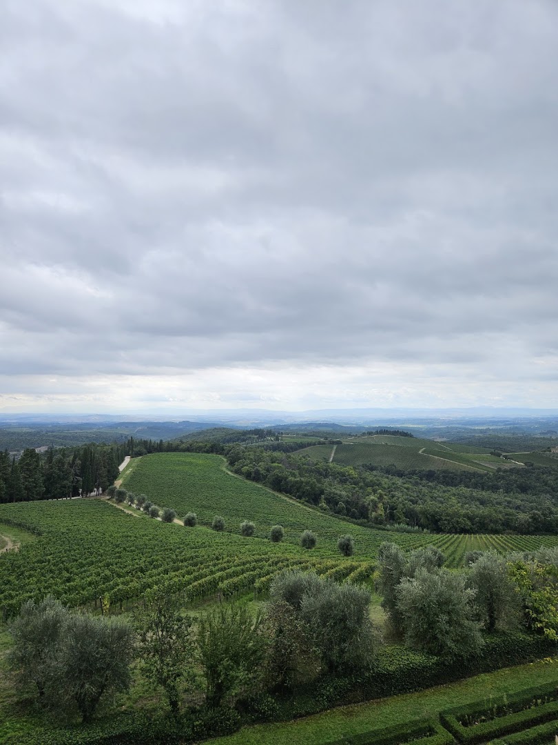Enoteca del Castello di Brolio Wine & Tour, Gaiole in Chianti