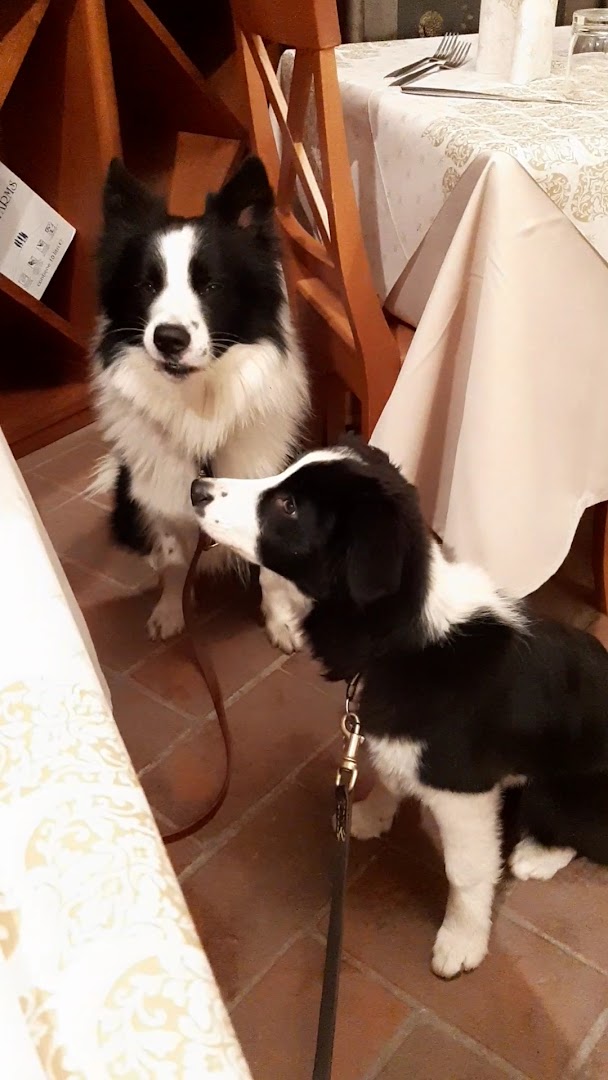 Enoteca Il Bacchino