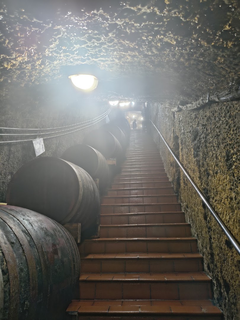Enoteca Il Vino di Menale Carlo