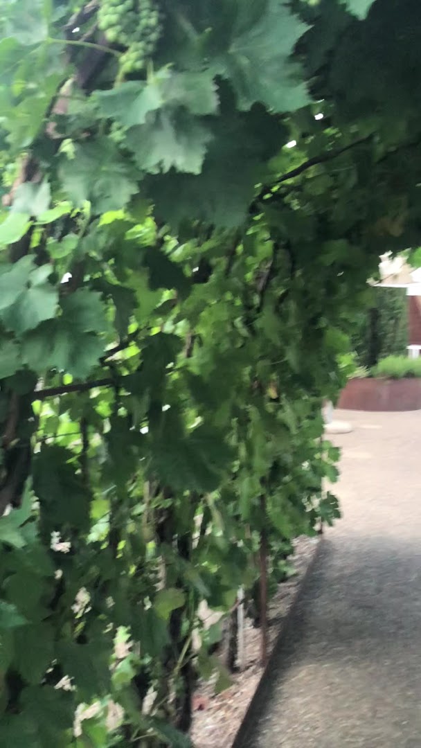 Enoteca Meucci